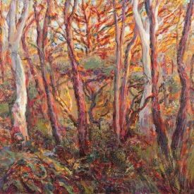 Bush Sunset, Balmoral oil on canvas 60cm x 50cm  2009