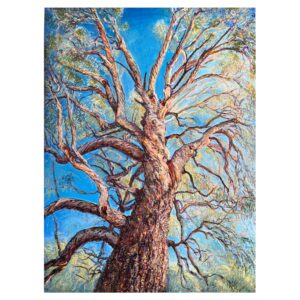 ‘Murrumbidgee River Red Gum’ oil on linen 100cm x 130cm 2023 $10000. AUD commissioned